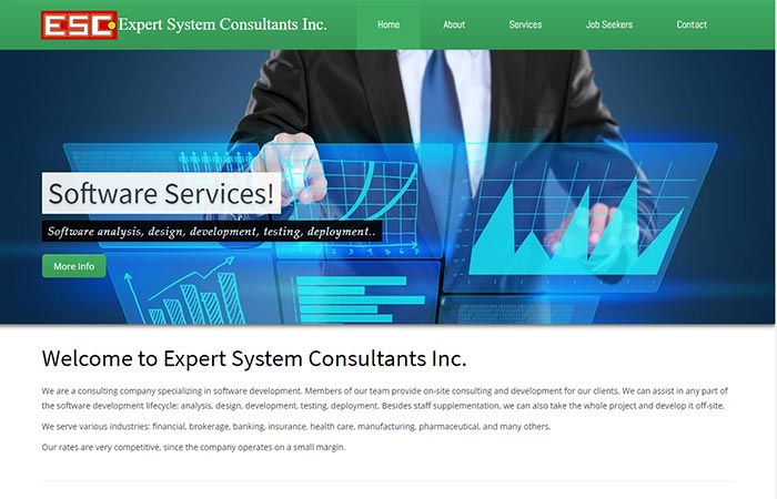 Expert System Consultants Inc. (آمریکا)